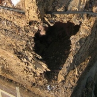 What are some of the best termite protection options?
