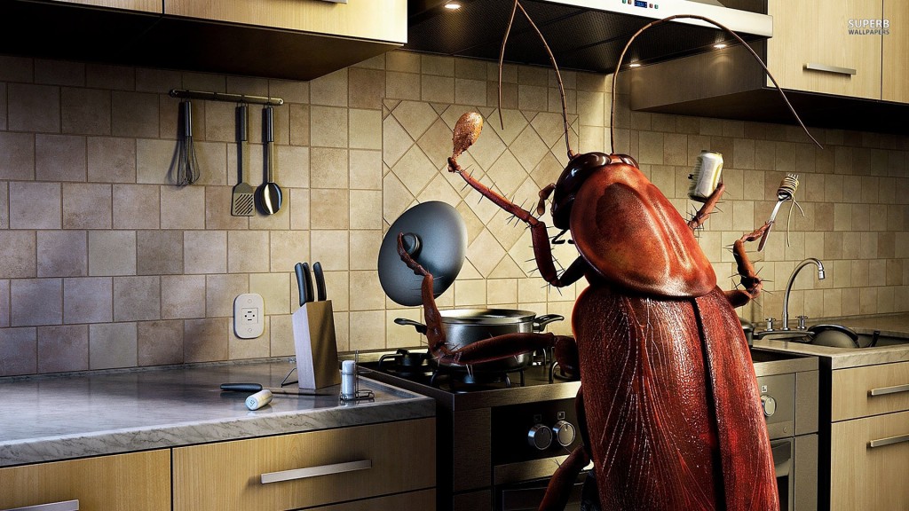 How to tell if you have cockroaches in your home (and what you can do about it)