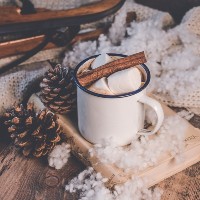 The pests to watch out for coming into colder months