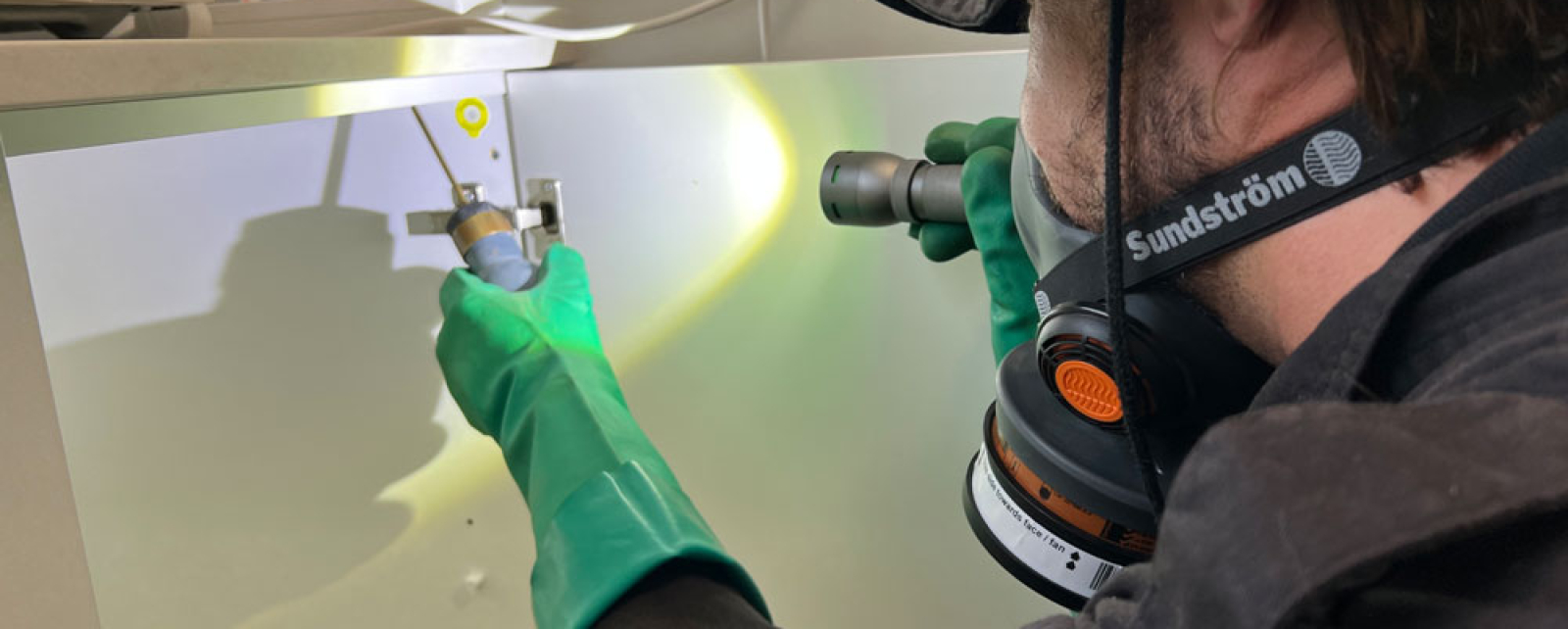 How regular pest inspections help control pests