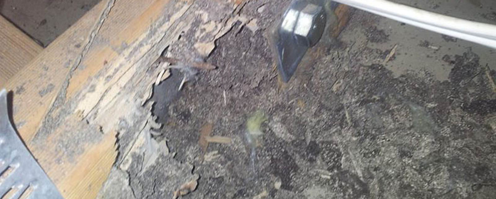 What are some of the best termite protection options?