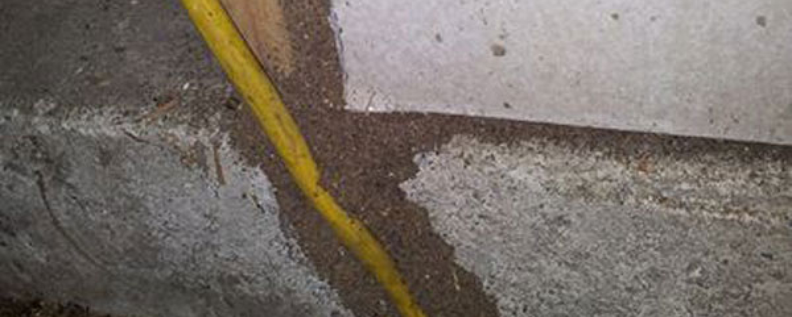 How does pest control kill termites?