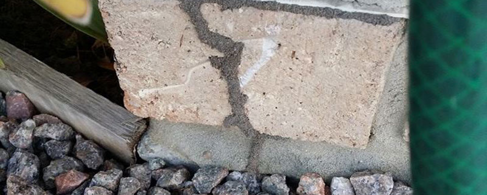 How do termites get in your home?