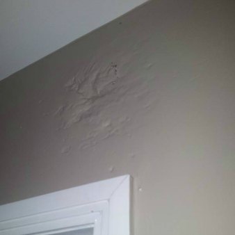 temite damage thin papery walls